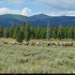 Eagle Ridge Ranch