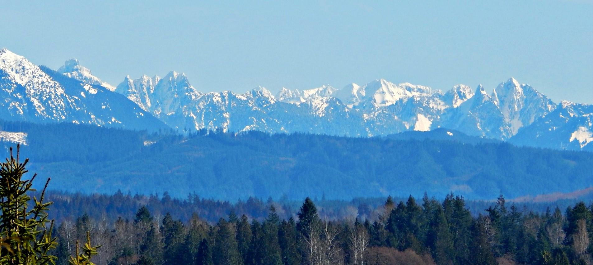 The Wedding Website of Jadie Stewart and Zack Schober