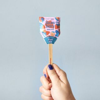 Garden Seed Pop, Set of 6