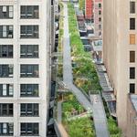 The High Line