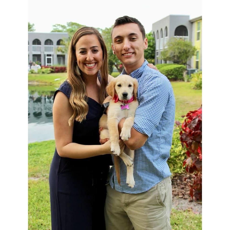 The day we got Stella.