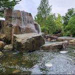 Myriad Botanical Gardens