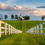 Horse Farm Tour