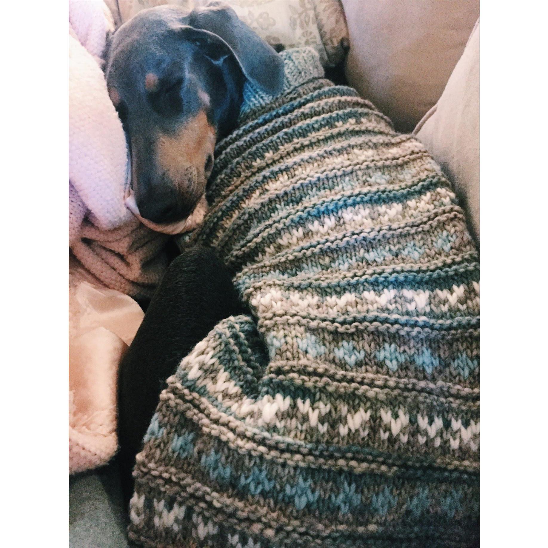 The light of our life, Lady the Doberman. We would have her as the flower girl but she would bark at everyone. She is very protective!