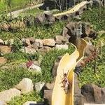 Activities available on the resort property