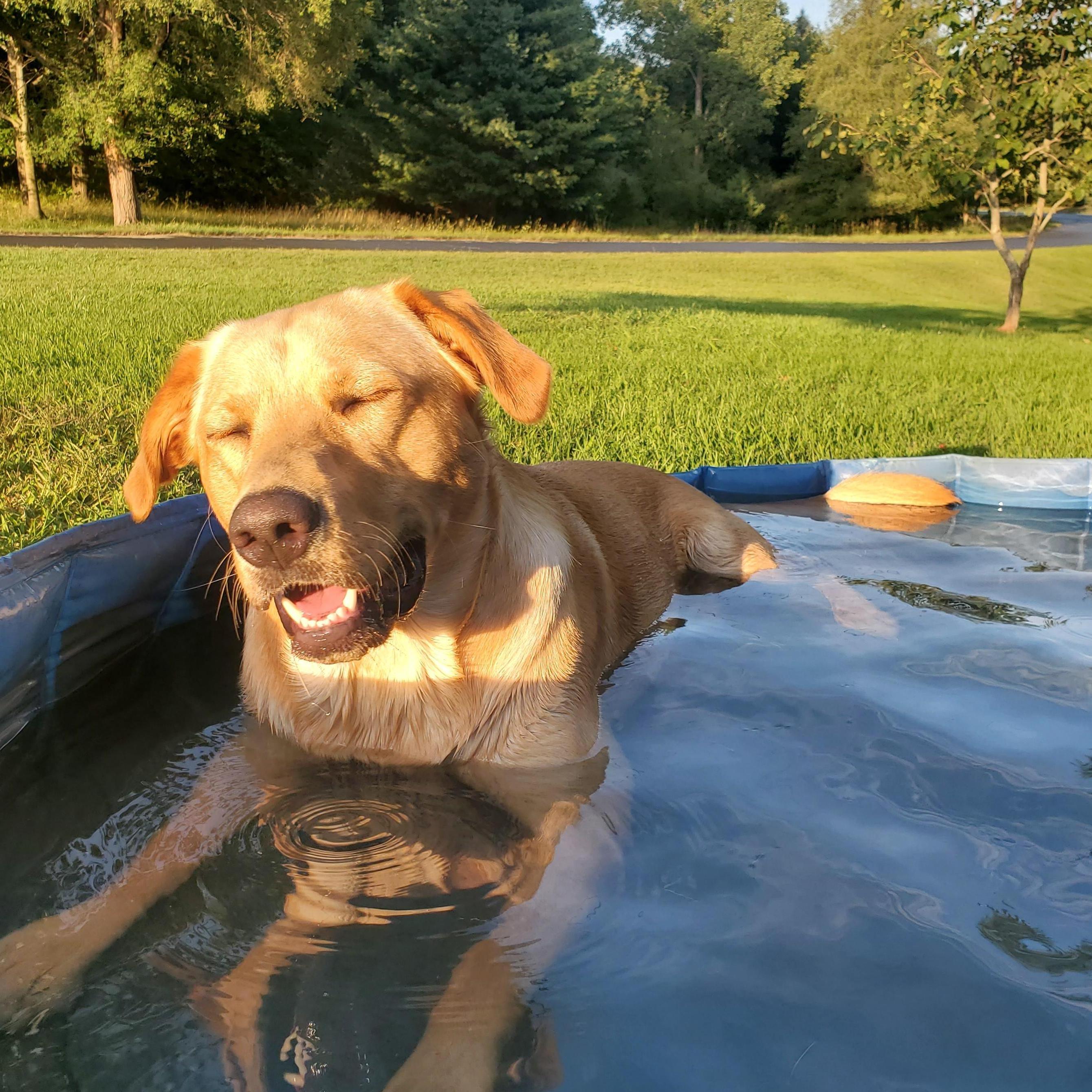 Summer, 2020