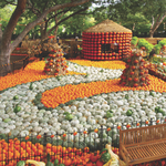 The Dallas Arboretum and Botanical Garden
