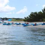 Beaufort Paddle