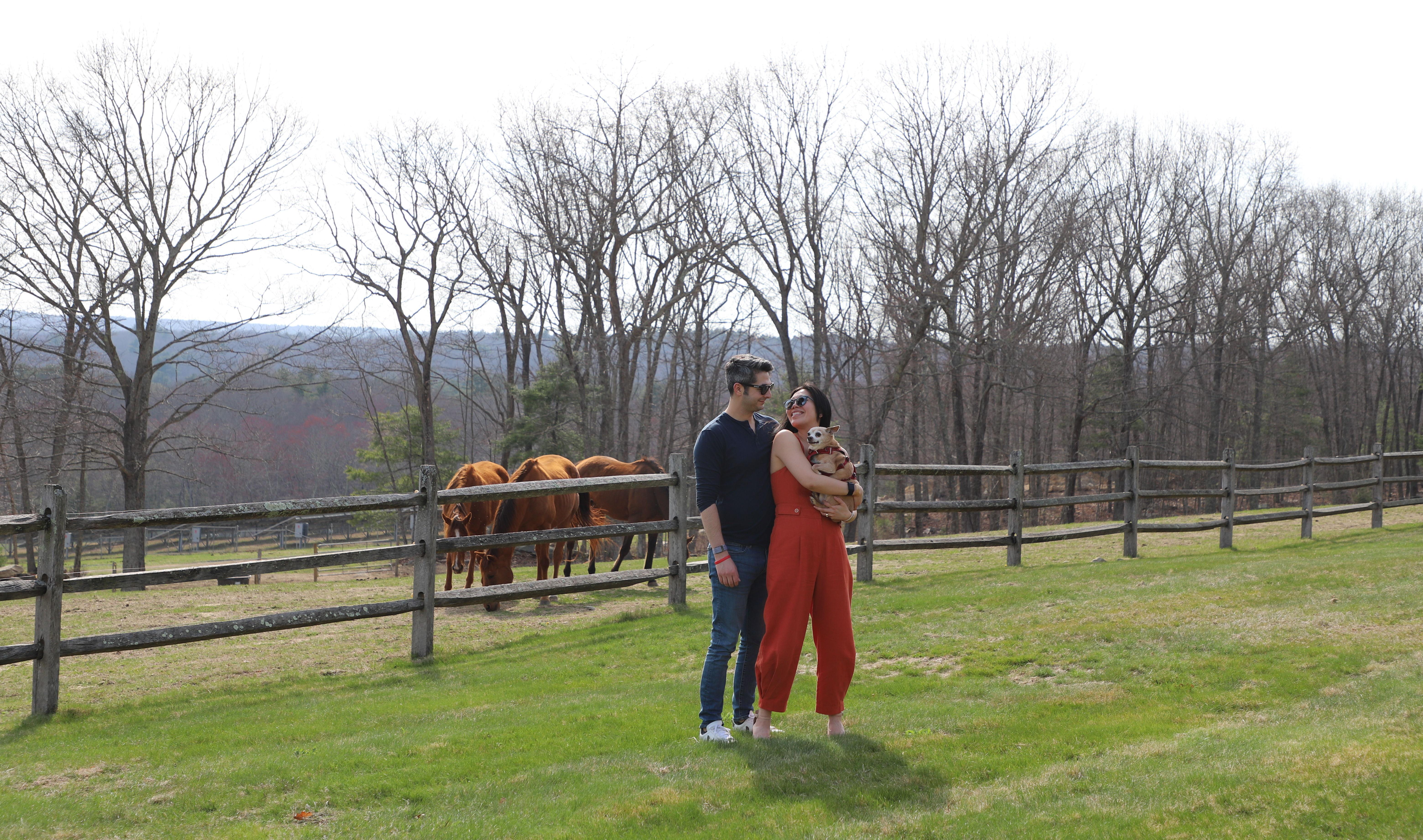 The Wedding Website of Ada Lau and Adam Campisi