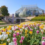 Phipps Conservatory and Botanical Gardens