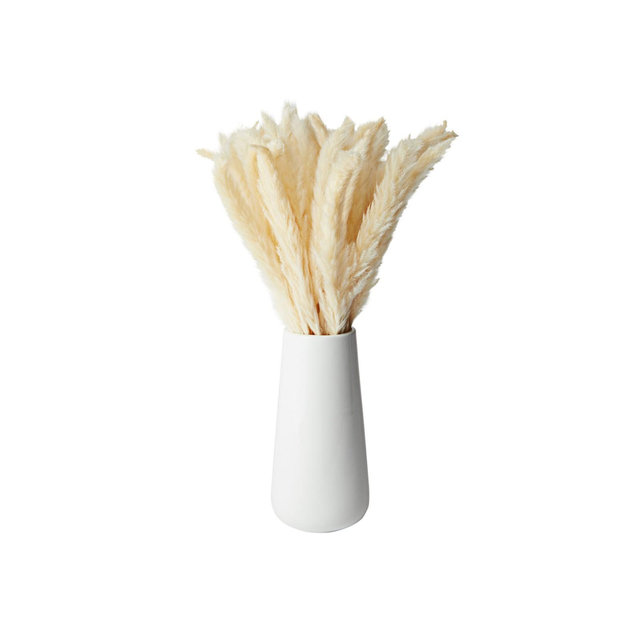 Farmlyn Creek 40 Pack Ivory Natural Dried Pampas Grass Branches with White Ceramic Vase, Plants for Home Decor, 16 in