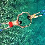 Sail & Sea Turtle Swim