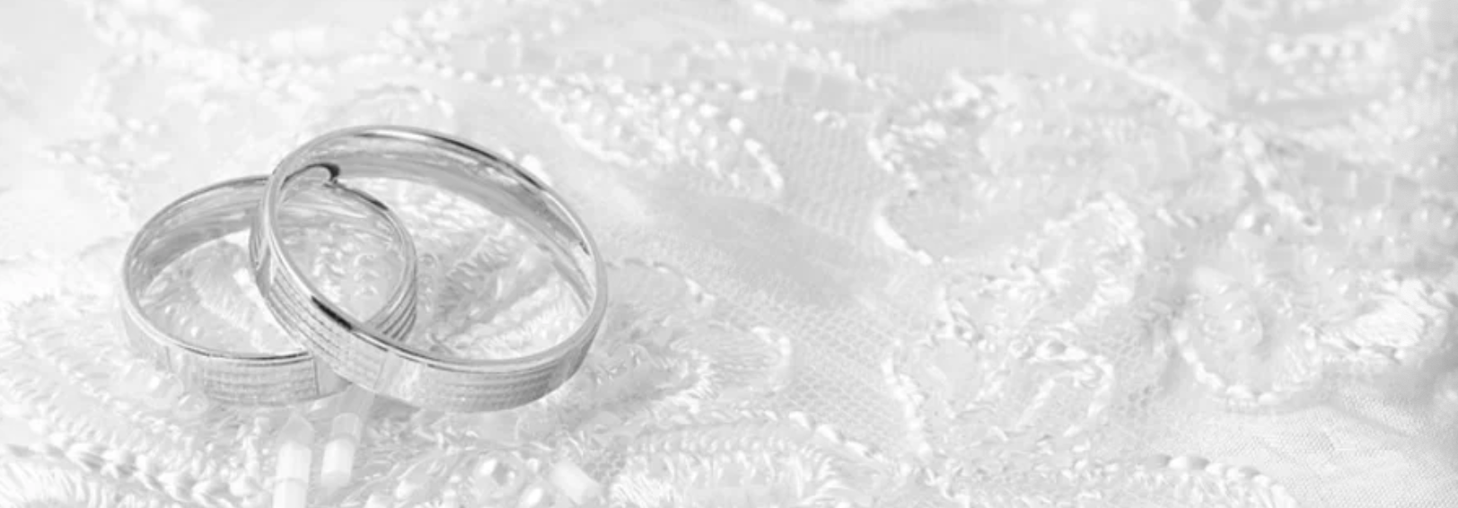 The Wedding Website of Lisa Barnes and Eric Vander Molen