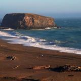 Goat Rock Beach