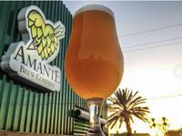 Amante Brew Company