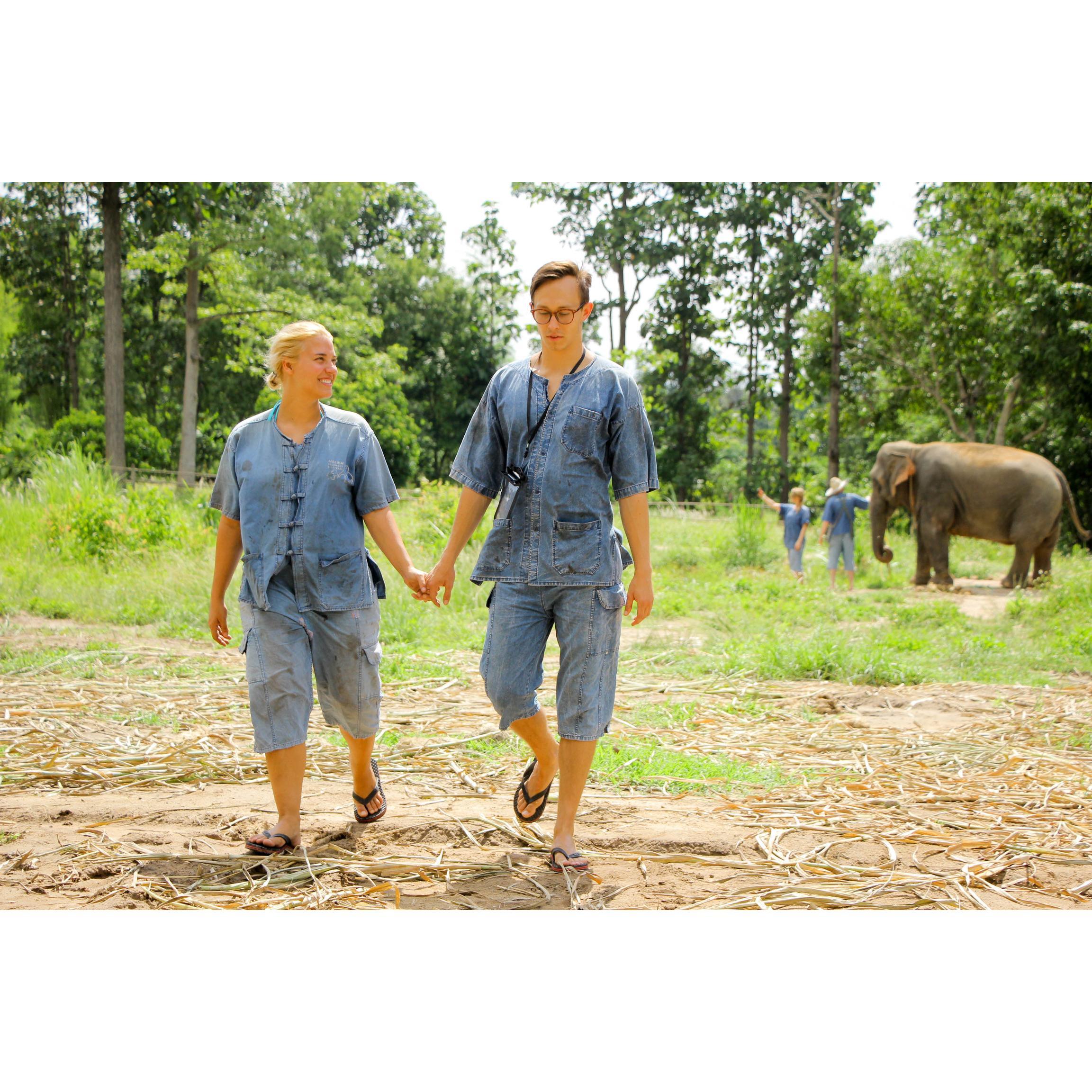 More time with the elephants, Thailand, Summer 2018.