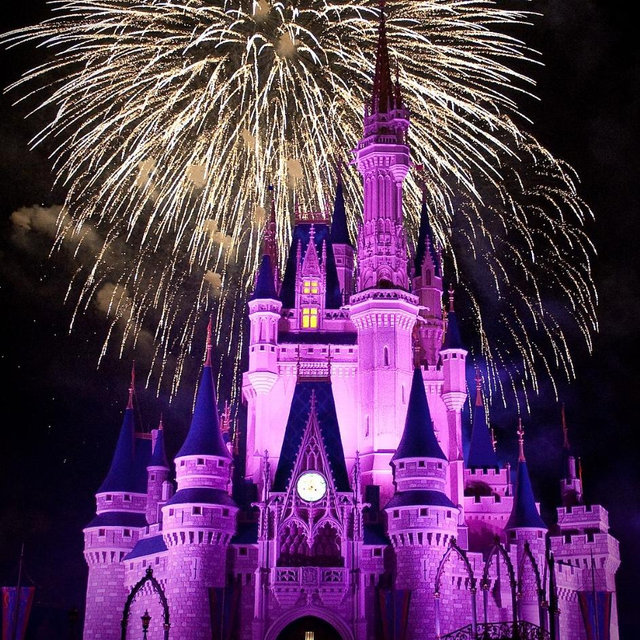 Walt Disney World Honeymoon Trip