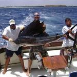 AAA Charters & Adventures – Fish Finders Riviera Maya
