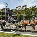 Cape May Carriage ride