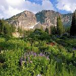 Hiking in Little Cottonwood Canyon