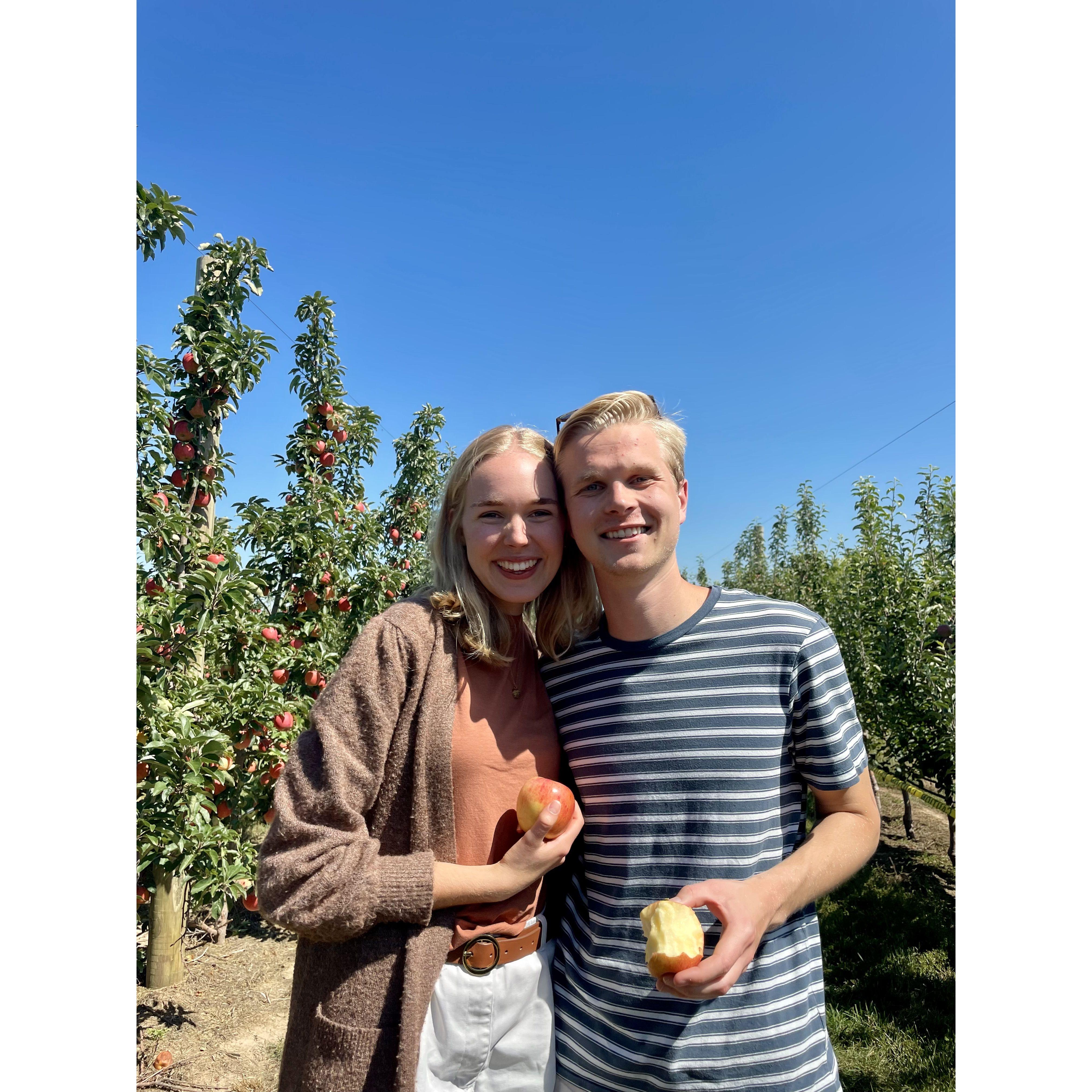 Our first Apple Picking adventure with the Miller/Chelsen clan