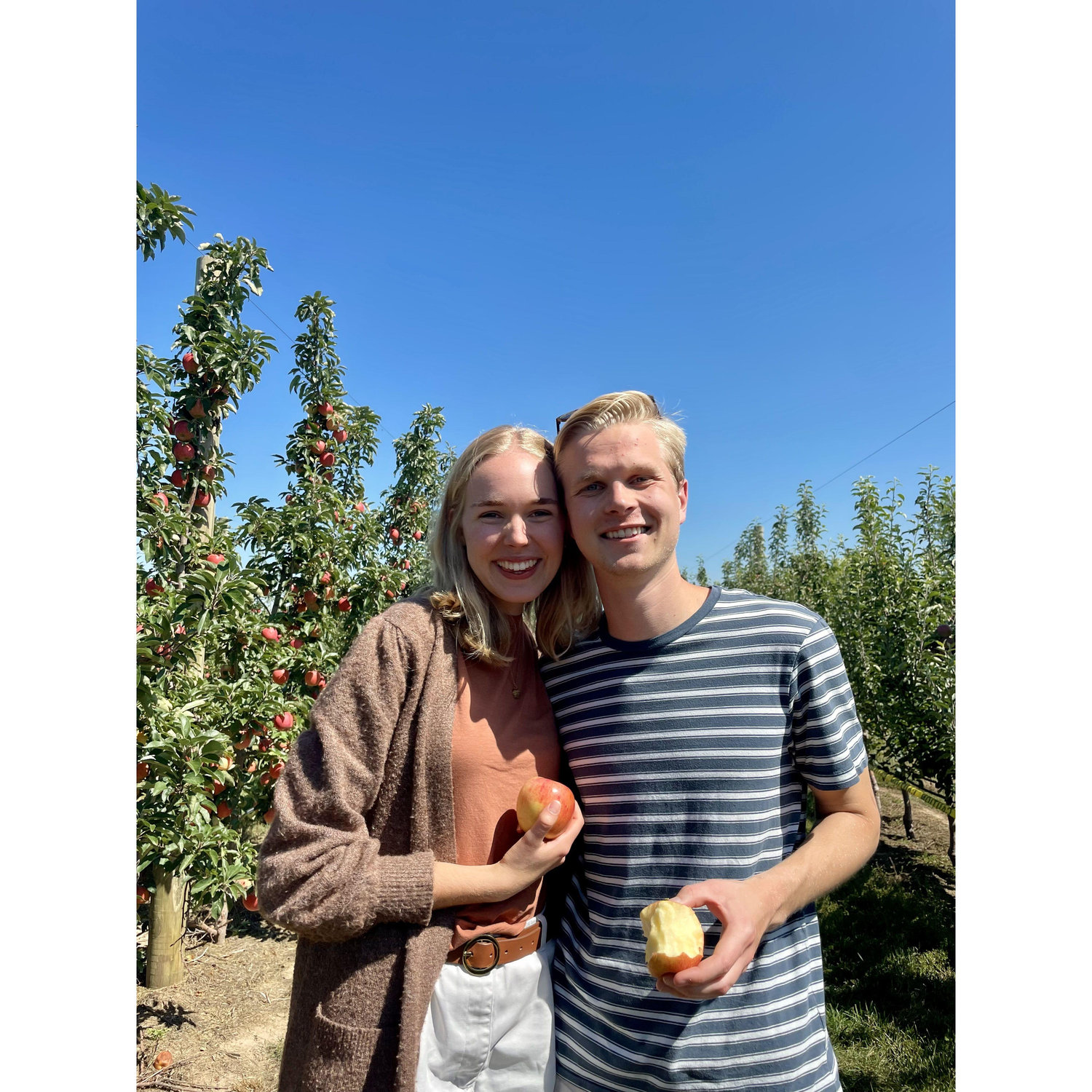 Our first Apple Picking adventure with the Miller/Chelsen clan