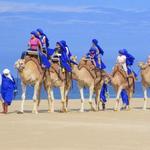Camel Outback Adventure and Eco Farm from Los Cabos