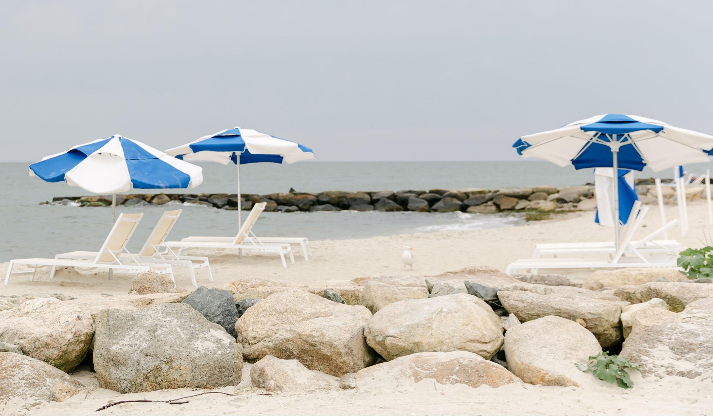 The Wedding Website of Susan Kritzmacher and Nicholas Colangelo