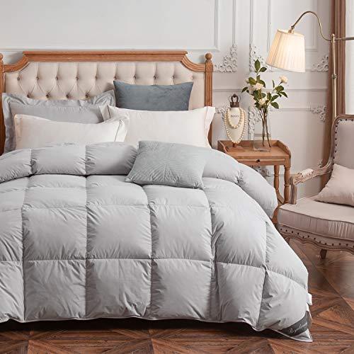 Royoliving Premium Silver Down Comforter King Size All Season Gray Grey 100% Egyptian Cotton Cover Down Proof Duvet Insert with Corner Tabs, 60 Oz