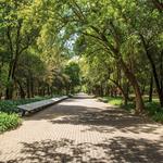 Bosque de Chapultepec