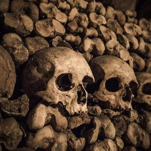Catacomb Tour in Paris