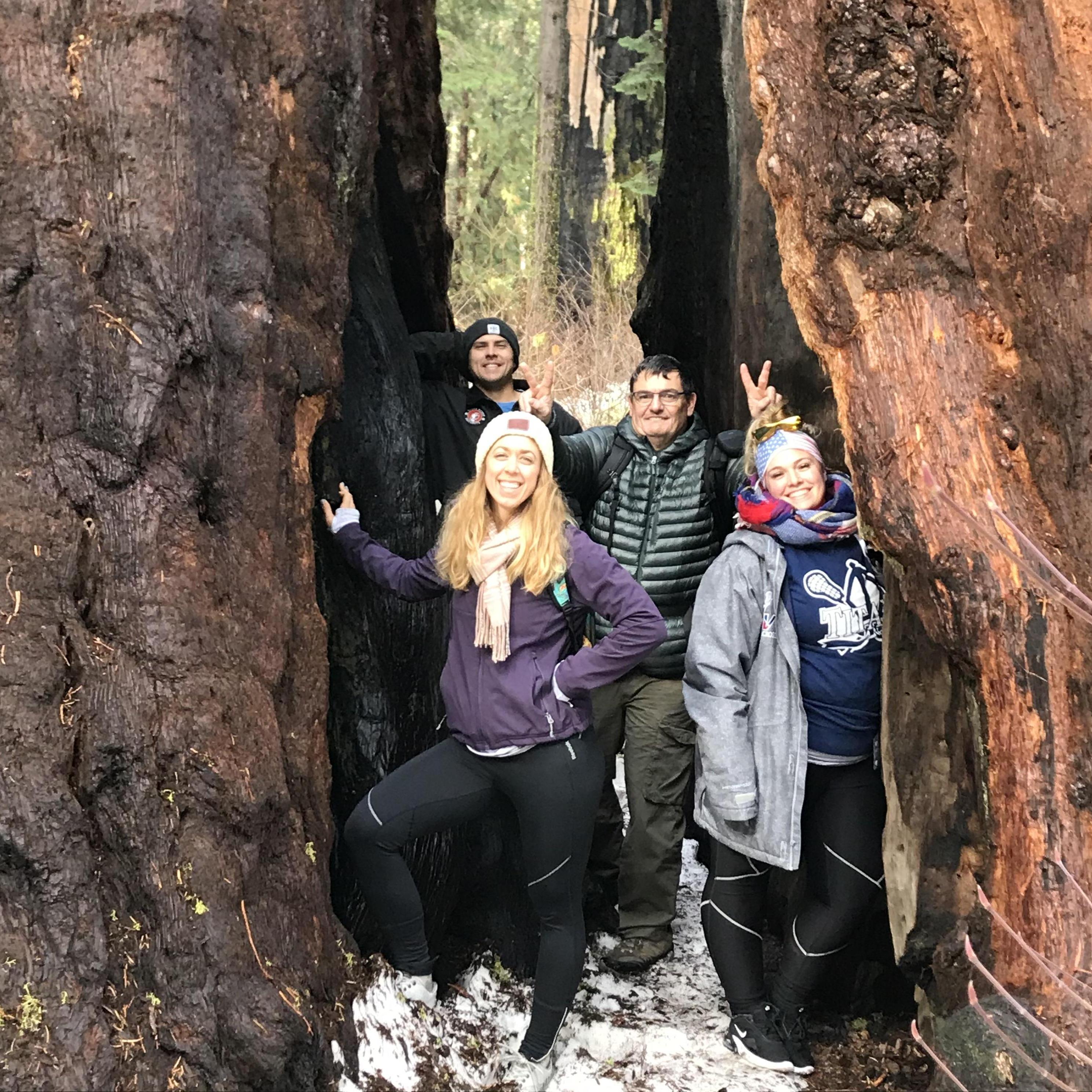 Tim's Birthday. Dad, Carol and Sarah Visit California. Calaveras Big Trees. Little did Kelsey know, on this day Tim told Jim, Kelsey's Dad, he was going to ask Kelsey to Marry him.