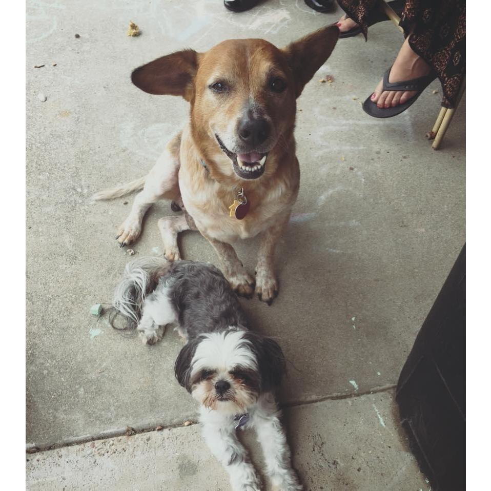 Our babies!
