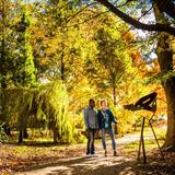 Grounds For Sculpture