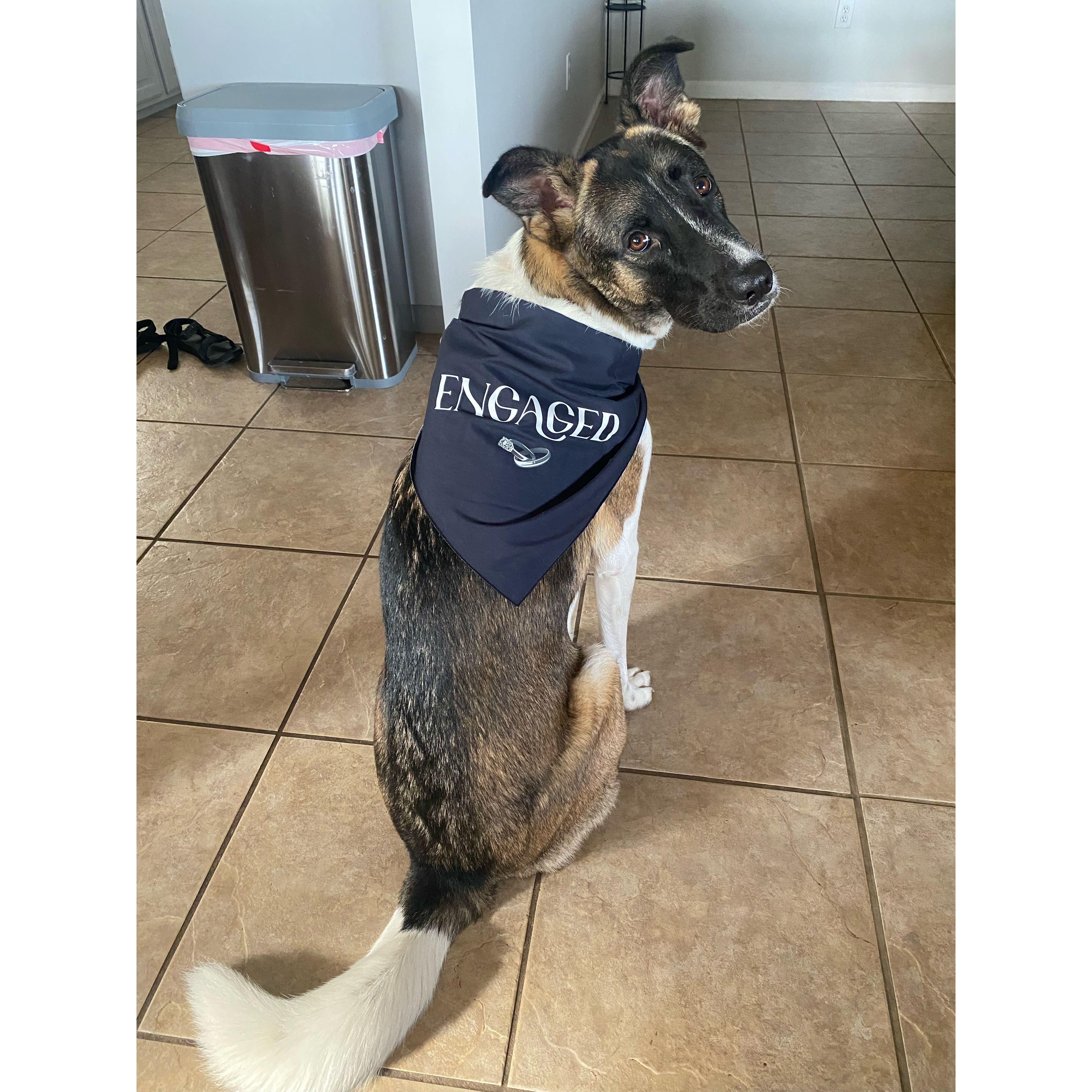 Bear sent us his own congrats.