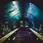 Atlantic City Aquarium