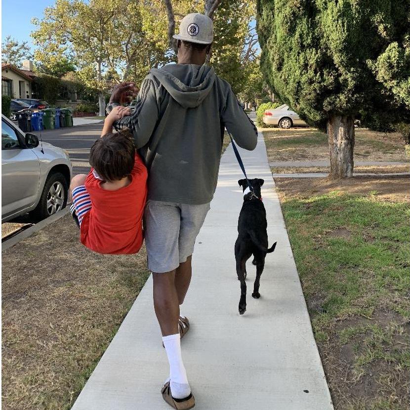 Dog Walking