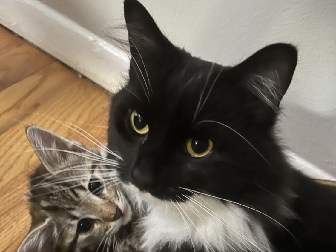 The Wedding Website of Valerie Hirschfeld and Kyle Oleksy