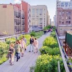 Chelsea Market & The HighLine