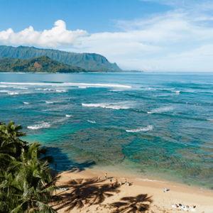 Hawaii Honeymoon Fund