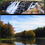 Laurel Hill State Park