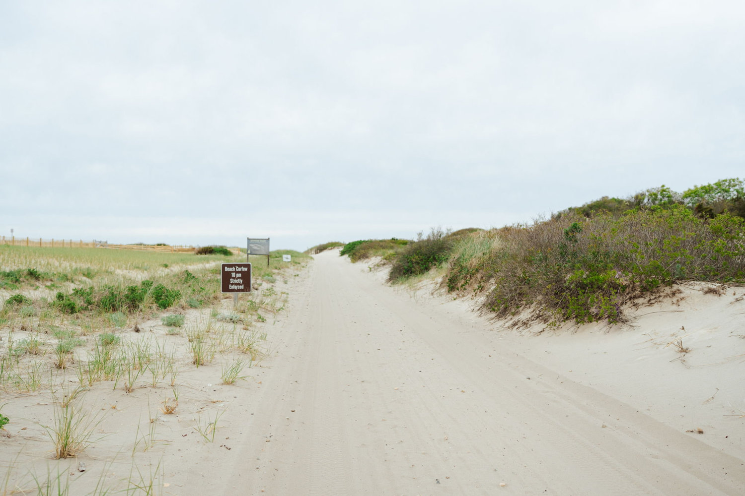The Wedding Website of Erin Condon and Connor Dubois