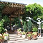 Bistro Don Giovanni