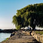 Edgewater Beach