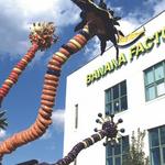 Banana Factory Arts and Education Center