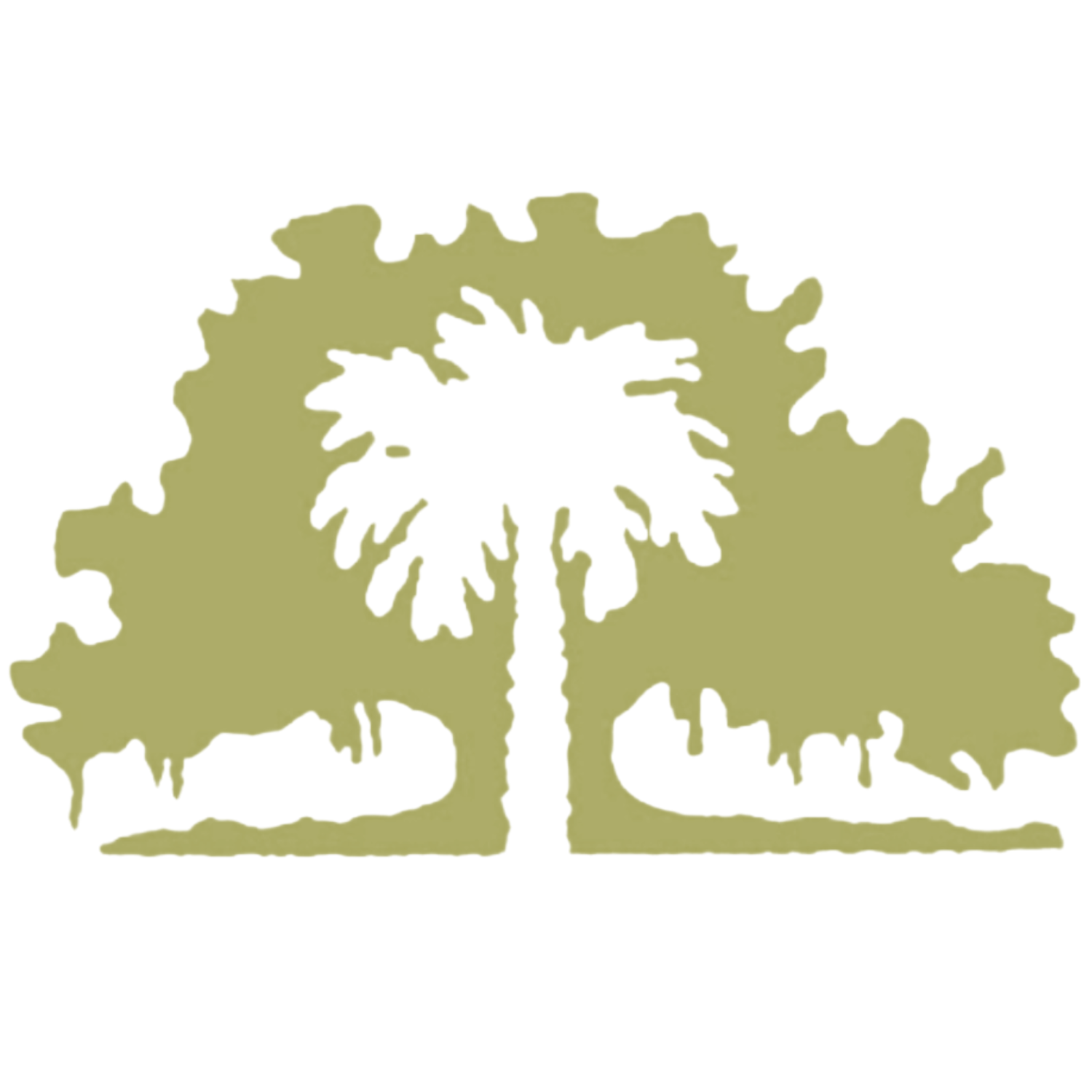 The Wedding Website of Carly Berman and Miller Barbour