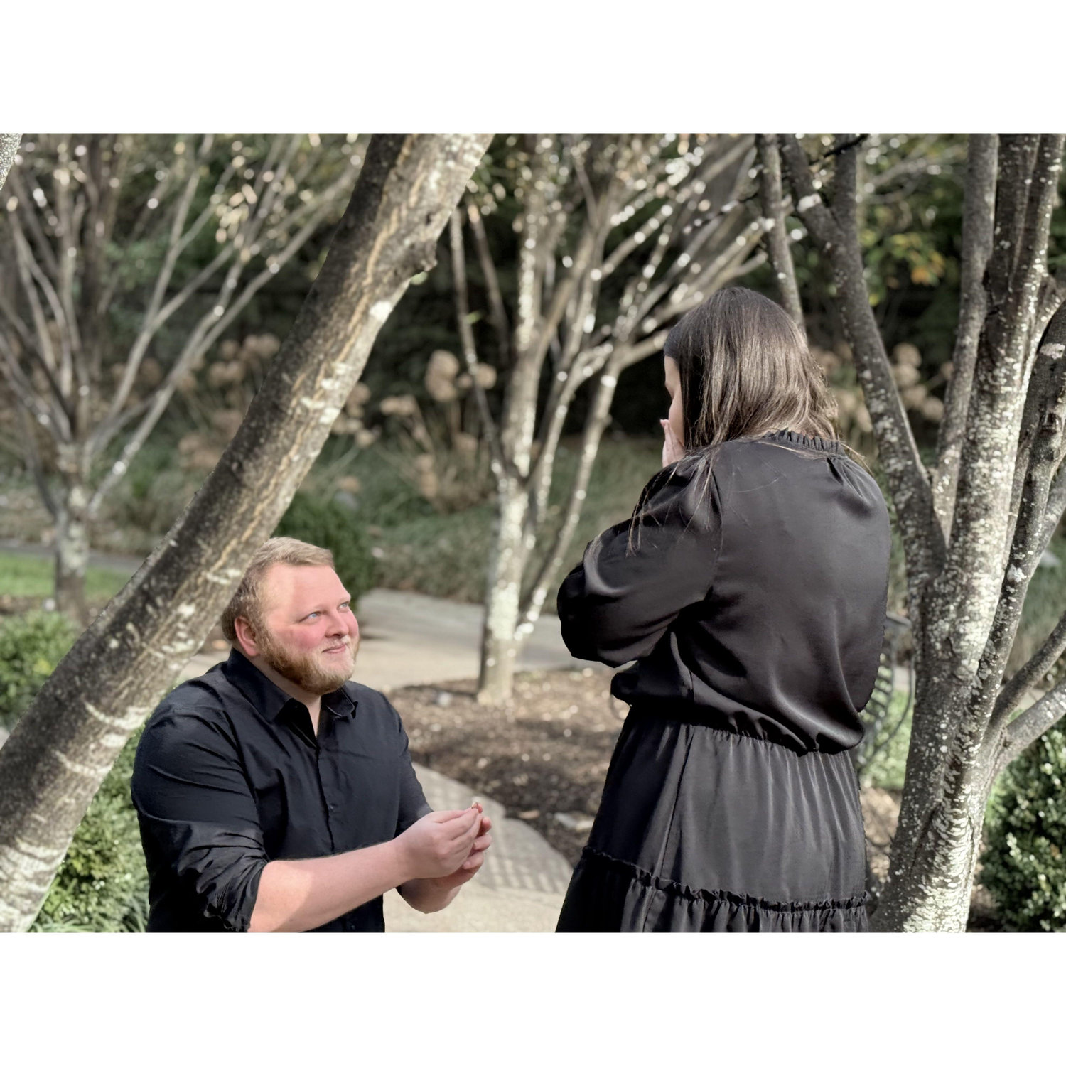 The proposal!