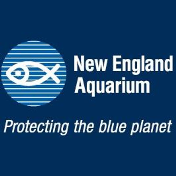 NEAQ Charity Fund