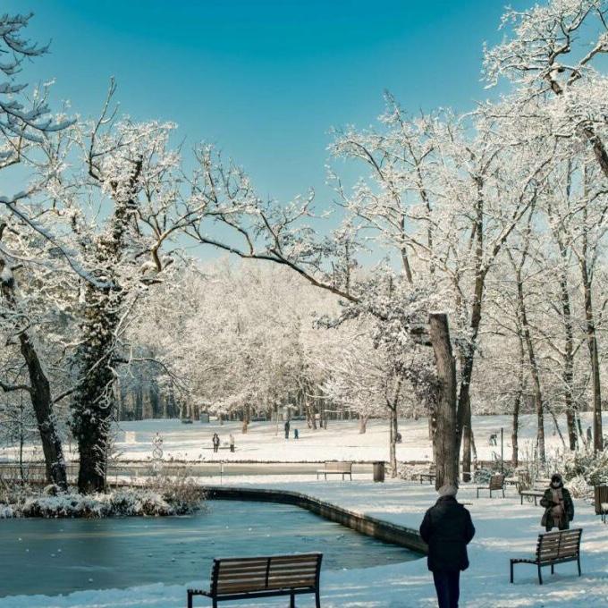 Great Forest Park
