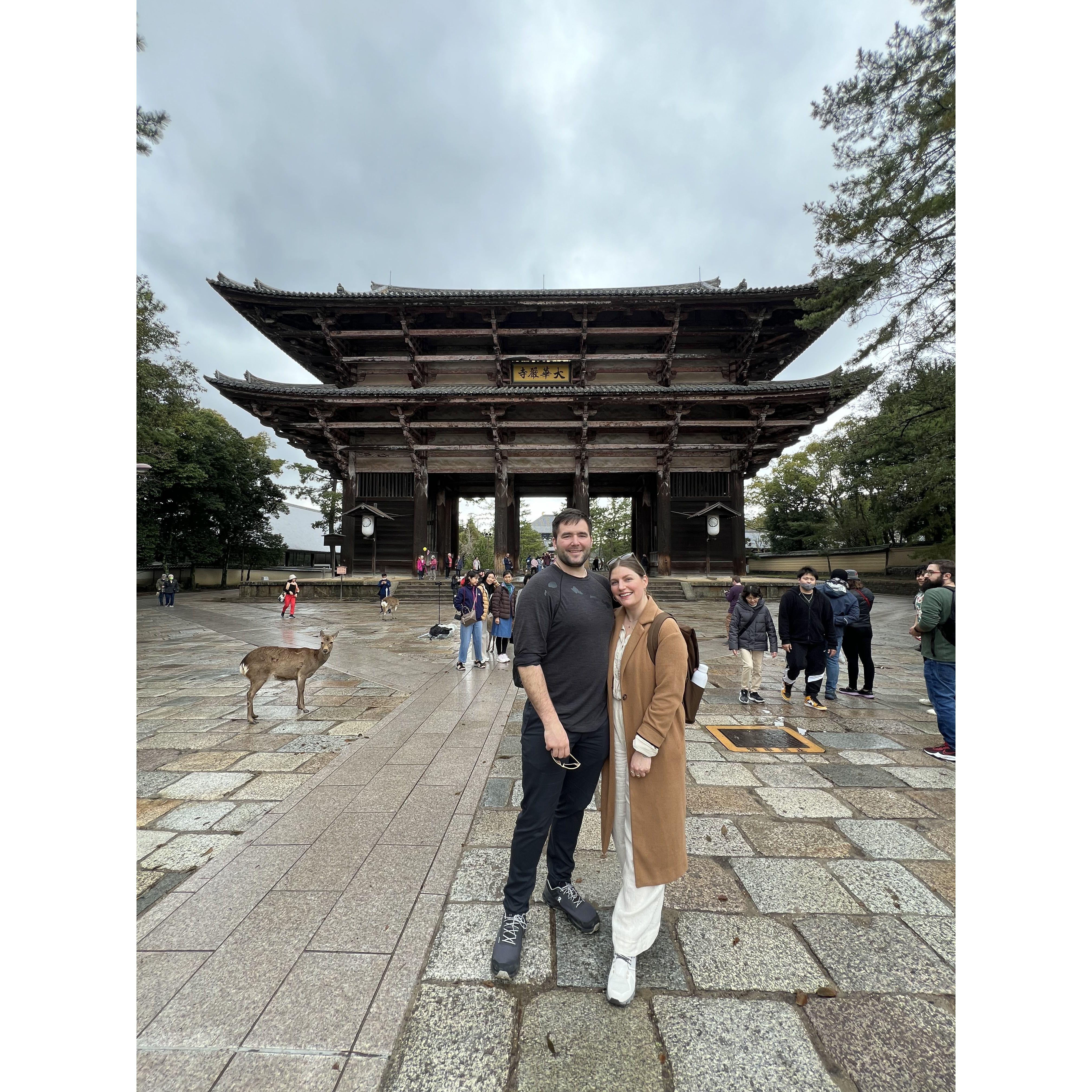 Taking a break from feeding the deer in Nara, Japan